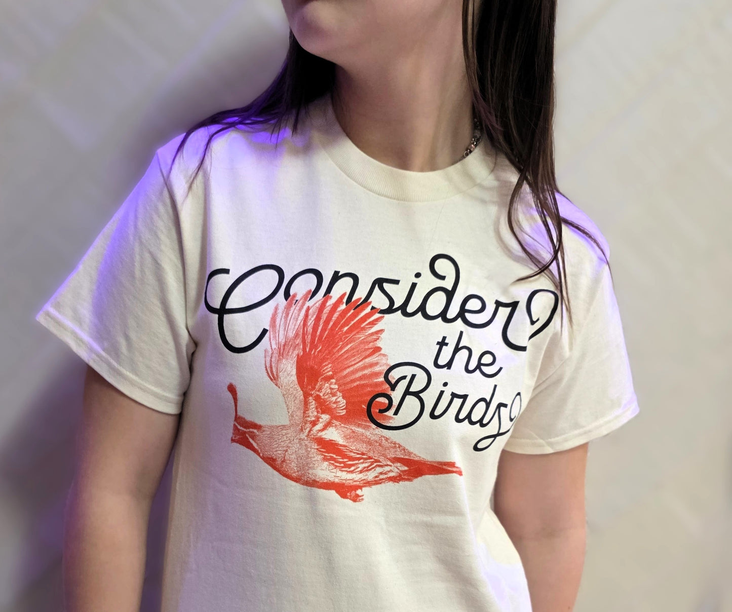 Song of the Gambel Tee – Consider the Birds Limited Series